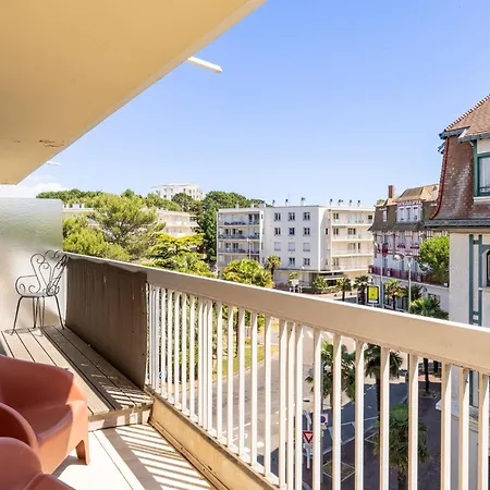 Nouveau - Le Palmier - 2 Min De La